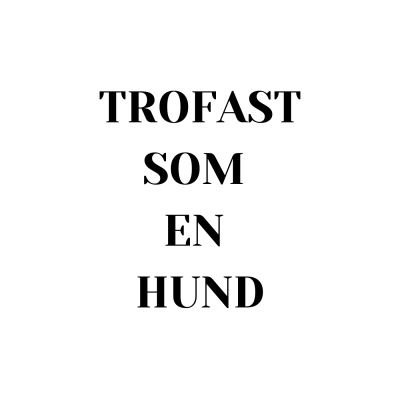 Learn Norwegian/Norsk med Camelia