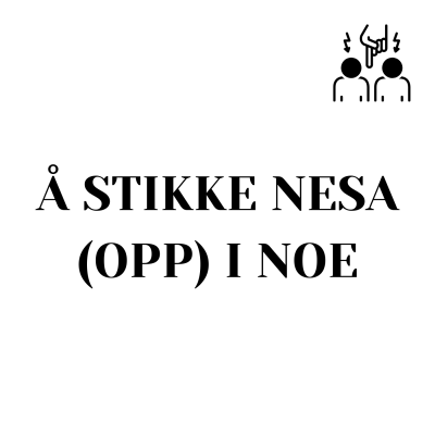Learn Norwegian/Norsk med Camelia