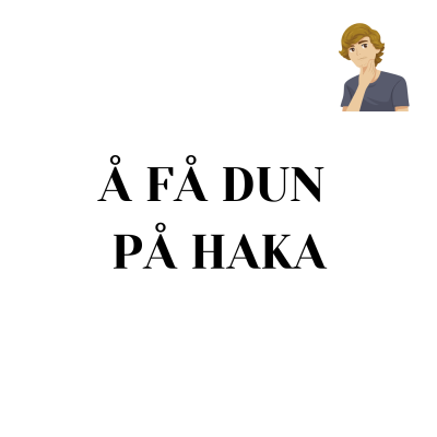 Learn Norwegian/Norsk med Camelia