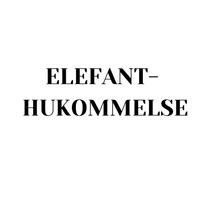 Learn Norwegian/Norsk med Camelia
