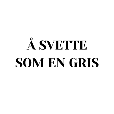 Learn Norwegian/Norsk med Camelia