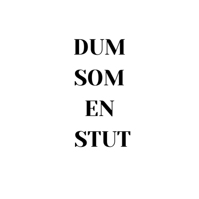 Learn Norwegian/Norsk med Camelia