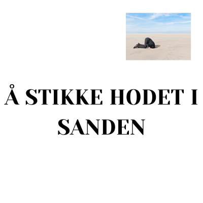 Learn Norwegian/Norsk med Camelia