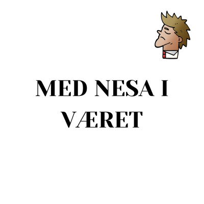 Learn Norwegian/Norsk med Camelia