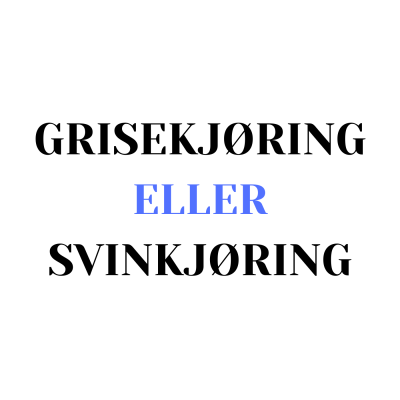 Learn Norwegian/Norsk med Camelia