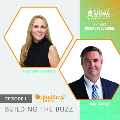 Building the Buzz
