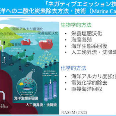 midori Various Corners • A podcast on Spotify for Creators