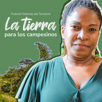 Historias del territorio