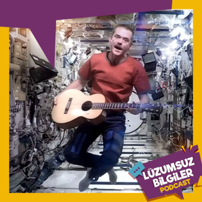 Lüzumsuz Bilgiler ~ İlginç Haberler