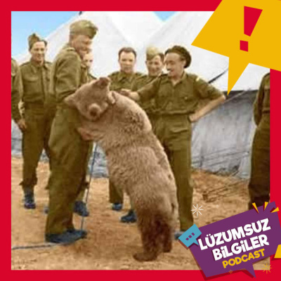Lüzumsuz Bilgiler ~ İlginç Haberler