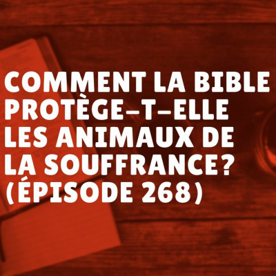 Comment la Bible protège-t-elle les animaux de la souffrance? (Épisode 268) episode artwork