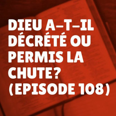 Dieu a-t-il décrété ou permis la chute? (Épisode 108) episode artwork