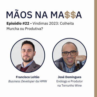 #22 - Vindimas 2023: Colheita Murcha ou Produtiva?