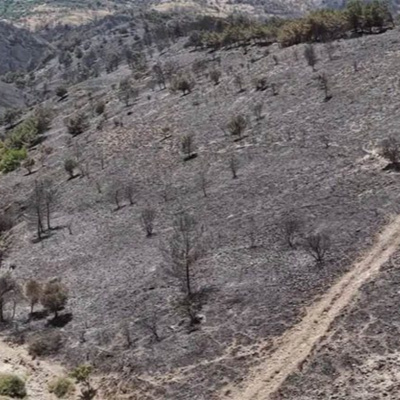 Ανάχωμα στη "Μαύρη Διεθνή", στη μαύρη καμμένη γη, στη μαύρη εικόνα της ζωής μας