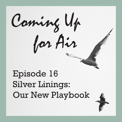 Silver Linings: Our New Playbook
