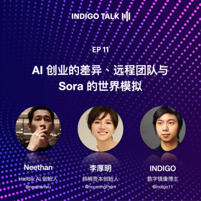 INDIGO TALK / AI 创业的差异与 Sora 的世界模拟 - EP11