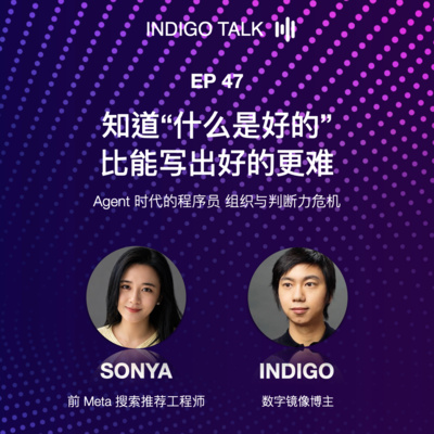 知道"什么是好的"，比能写出好的更难 / Agent 时代的程序员、组织与判断力危机 - Indigo Talk EP47