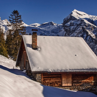 Currently playing episode