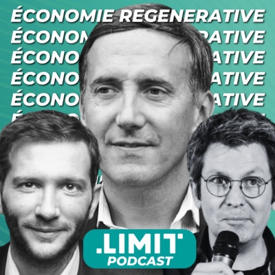 FACE À L'EFFONDREMENT ?! (AVEC A.KELLER, O.HAMANT, G.GIRAUD)