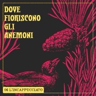 DOVE FIORISCONO GLI ANEMONI EP.06 - L'Incappucciato