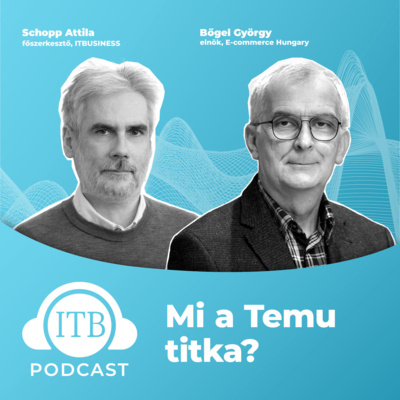 Jött. látott és győzött - mi a Temu titka?