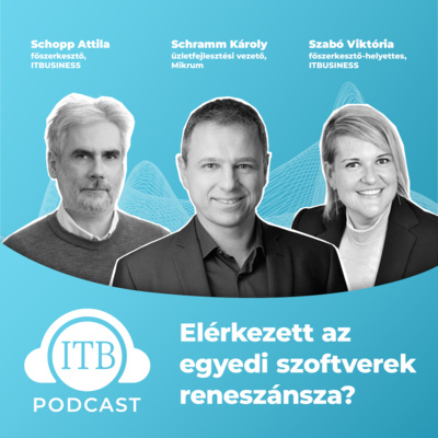 Elérkezett az egyedi szoftverek reneszánsza?