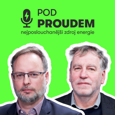 Jak zvládne Evropa rok 2025? Niedermayer a Sedlák hodnotí ceny energií, Trumpa i zákaz spalováků