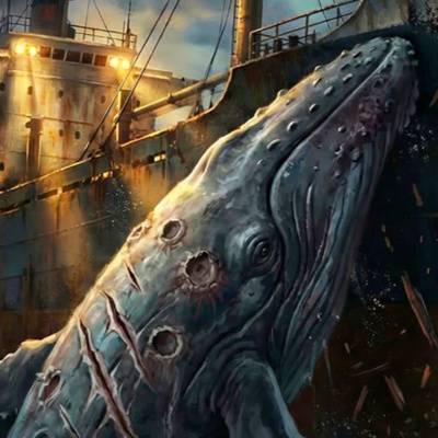 I'm A Cargo Ship Worker. A Whale Gave Its Life Trying To Warn Us.