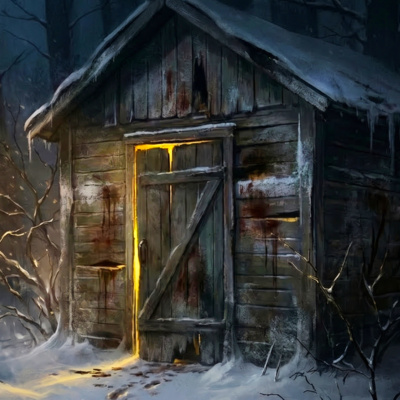 I Found a Girl Chained in a Shed. I Should Never Have Freed Her.
