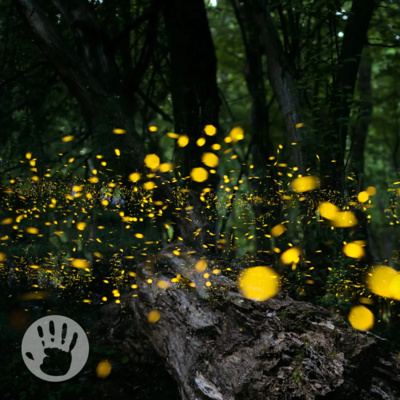 812: Worship the creator, not the created?