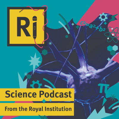 The neuroscience of memory - with Charan Ranganath