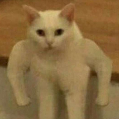 Immortal Cats