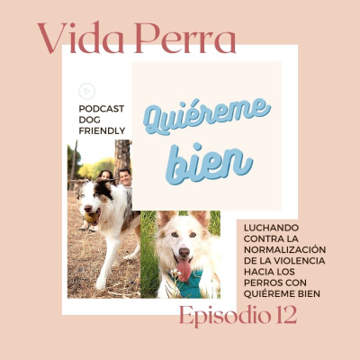 12. Luchando contra la normalización de la violencia hacia los perros con Quiéreme Bien