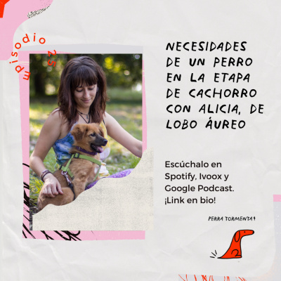 25. Necesidades de un perro en la etapa de cachorro con Alicia, de Lobo Áureo