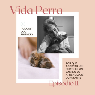 11. Por qué adoptar un perro es un camino de aprendizaje constante