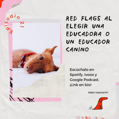 21. Red flags al elegir una educadora o un educador canino para ayudar a tu perro