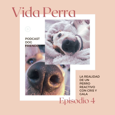 4. La realidad de los perros reactivos, con Cris y Gala