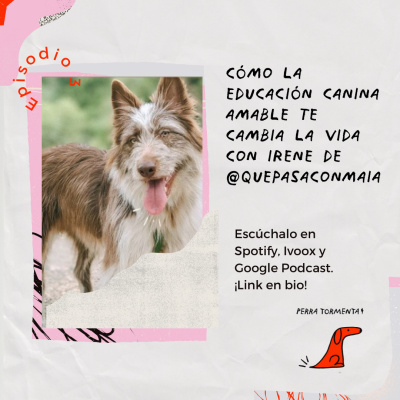 18. Cómo la Educación Canina Amable te cambia la vida con Irene de @quepasaconmaia