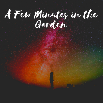 A Few Minutes in the Garden (Trailer)