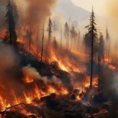 Chapter 5: Wildfire