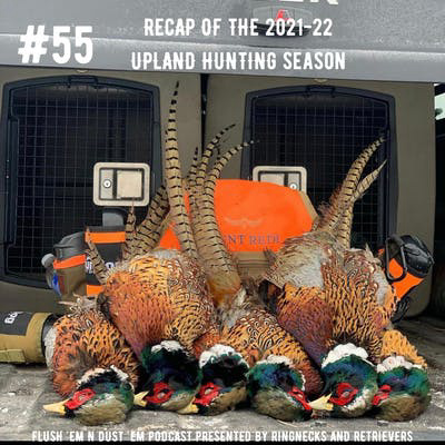 Recap of 2021-22 Upland Hunting Season