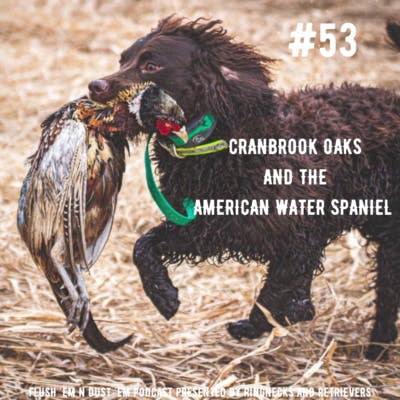 Cranbrook Oaks and the American Water Spaniel