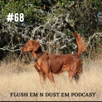 Quantonas Irish Setters and Field Trials