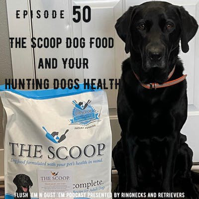 The Scoop Dog Food and Your Hunting Dogs Health