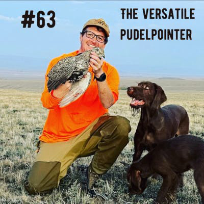 The Versatile Pudelpointer