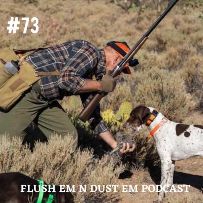 Arizona Quail Hunting