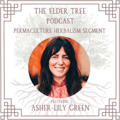 134. Conscious Conception & Pregnancy with Ayurveda: Asher-Lily Green on Permaculture Herbalism