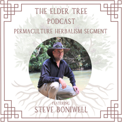 138. Water for All With Unpowered Technology: Steve Boniwell on Permaculture Herbalism