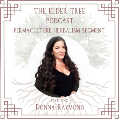 142. Soul Soil & Mapping the Inner Garden: Donna Raymond on Permaculture Herbalism