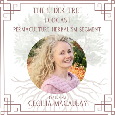 145. Permaculture Kitchen Design with Cecilia Macaulay: Permaculture Herbalism
